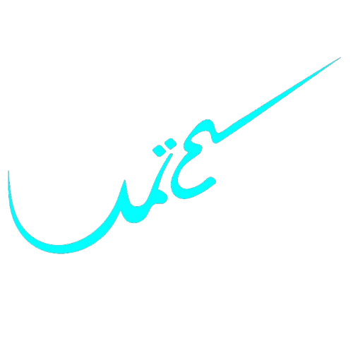 Etameid Logo